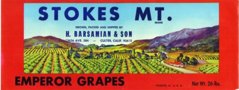 Stokes Mt